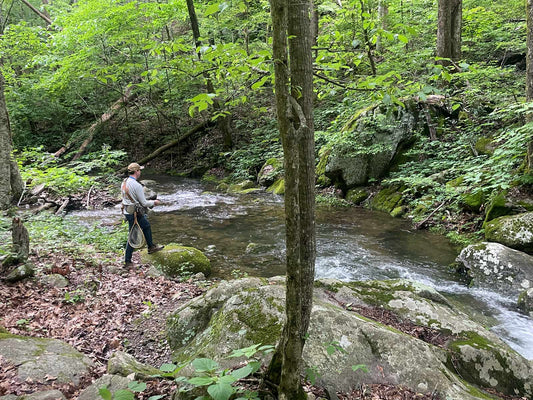 Chasing Brook Trout in the Heart of Southwest Virginia